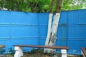 Изображение Изображение гостиницы &quot;Гостевой дом «Облака»&quot; #9 #7