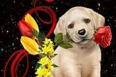 Изображение Изображение квартиры &quot;Квартира-студия на Чкалова 11&quot; #7 #5