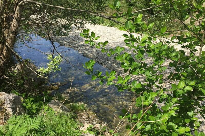 Изображение Изображение гостиницы &quot;Гостевой дом «Каштан»&quot; #6 #4