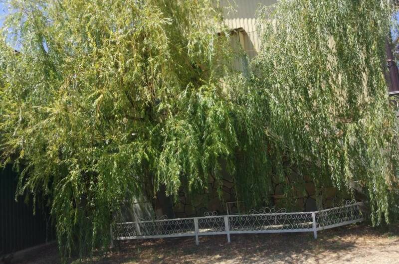 Изображение квартиры "Дом под ключ «У Ивы»" #1