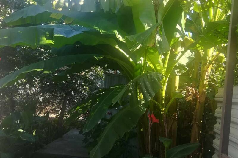 Изображение Изображение гостиницы &quot;Гостевой дом «Елена»&quot; #7 #5