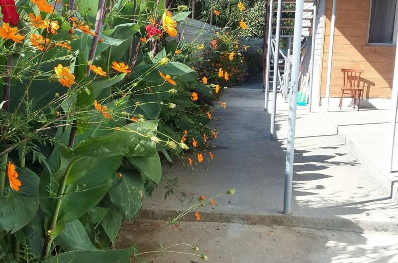 Изображение Изображение гостиницы &quot;Гостевой дом «Елена»&quot; #10 #8