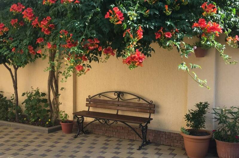 Изображение Изображение гостиницы &quot;Гостевой дом «У Георгия и Ирины»&quot; #3 #1