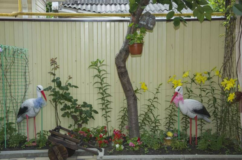 Изображение Изображение гостиницы &quot;Гостевой дом «У Георгия и Ирины»&quot; #6 #4