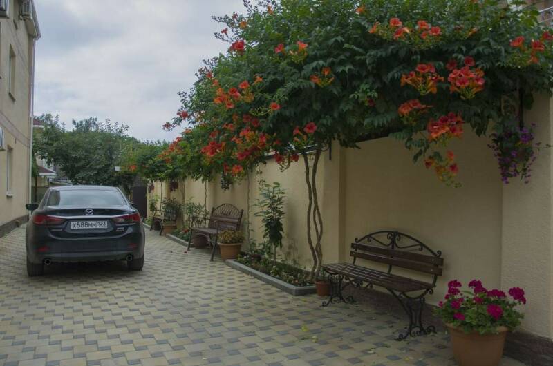 Изображение Изображение гостиницы &quot;Гостевой дом «У Георгия и Ирины»&quot; #10 #8