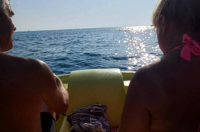 Изображение гостиницы "Гостевой дом «Сакартвело»" #1