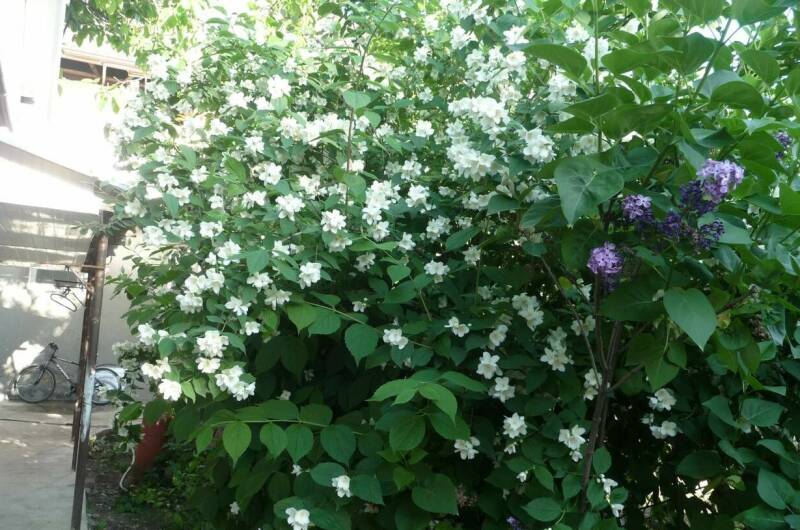 Изображение Изображение гостиницы &quot;Гостевой дом «Мария»&quot; #3 #1