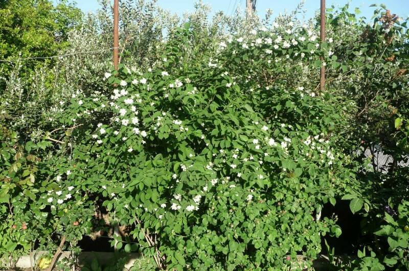 Изображение Изображение гостиницы &quot;Гостевой дом «Мария»&quot; #10 #8