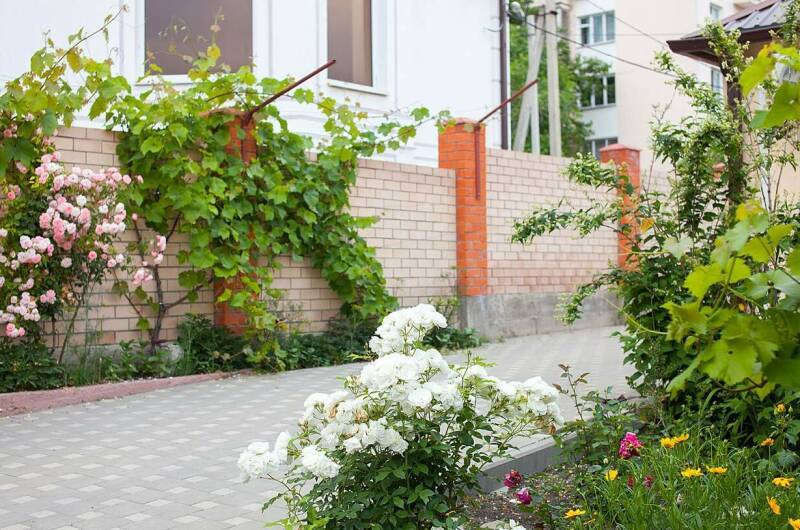 Изображение Изображение гостиницы &quot;Гостевой дом «Леонидас»&quot; #5 #3