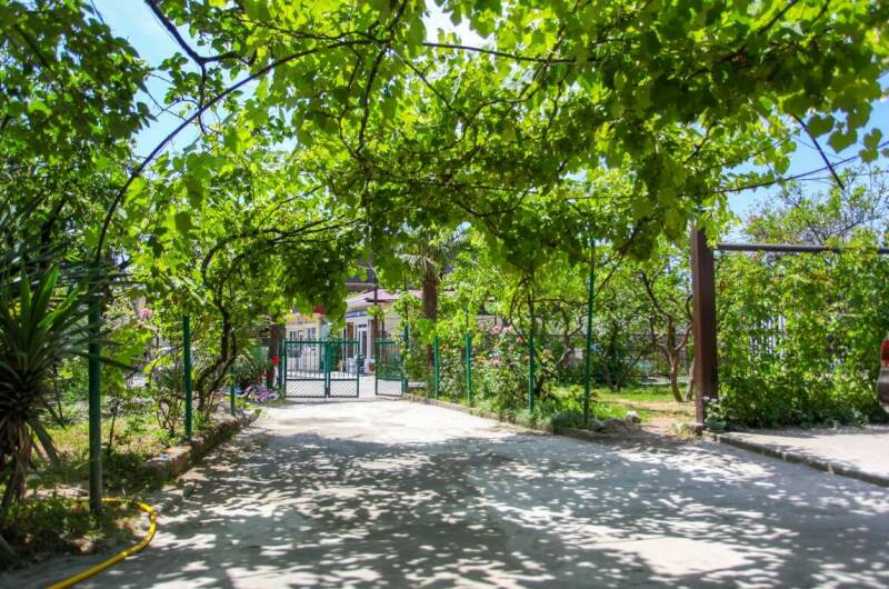 Изображение гостиницы "Гостевой дом «Зеленый дворик»" #1