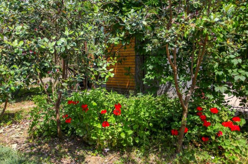 Изображение Изображение гостиницы &quot;Гостевой дом «Зеленый дворик»&quot; #4 #2