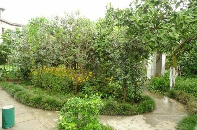 Изображение Изображение гостиницы &quot;Гостевой дом «Зеленый дворик»&quot; #6 #4