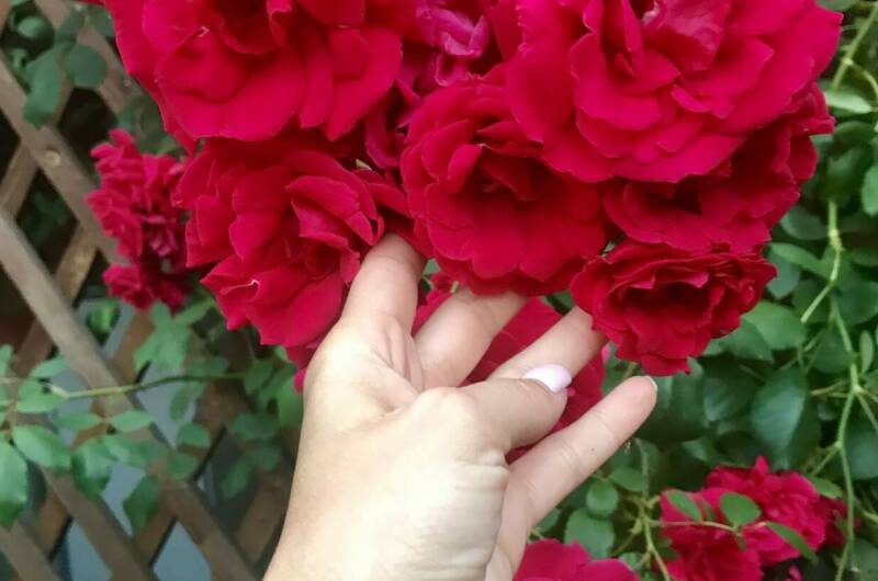 Изображение Изображение гостиницы &quot;Гостевой дом «Елена»&quot; #10 #8