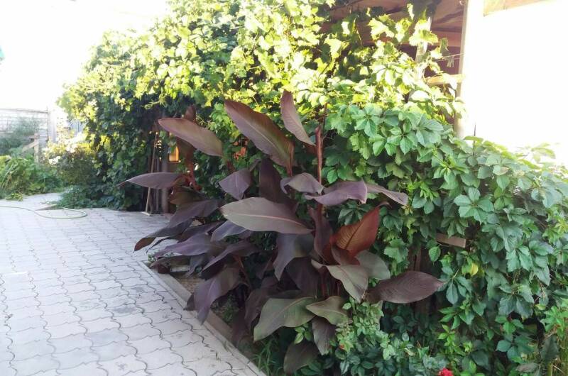 Изображение Изображение гостиницы &quot;Частный сектор на «Высотной 13»&quot; #8 #6