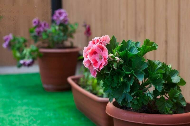 Изображение Изображение гостиницы &quot;Гостевой дом «Ульяна»&quot; #7 #5