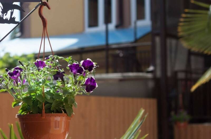 Изображение Изображение гостиницы &quot;Гостевой дом «Ульяна»&quot; #9 #7