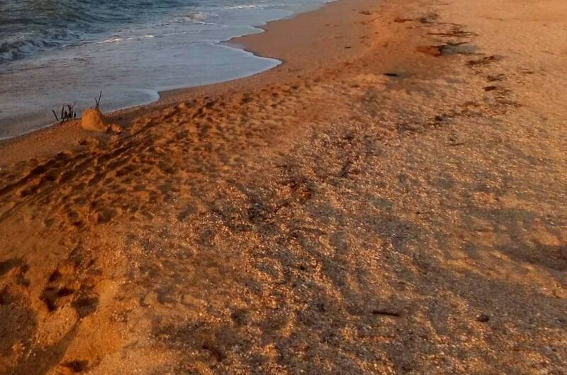 Изображение Изображение гостиницы &quot;Еврокемпинг «Морской Конёк»&quot; #6 #4