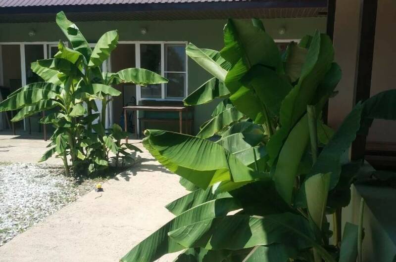 Изображение Изображение гостиницы &quot;Гостевой дом «Саламандра»&quot; #5 #3