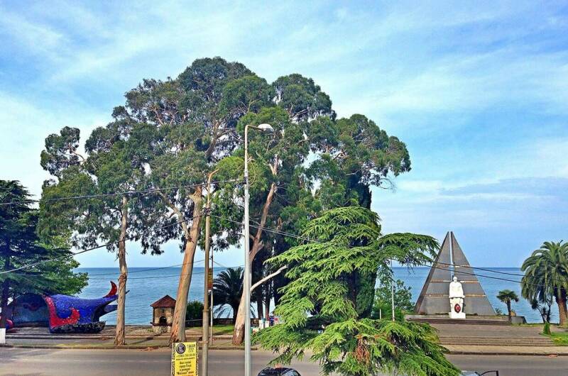 Изображение Изображение гостиницы &quot;Гостевой дом на Колхидской&quot; #3 #1