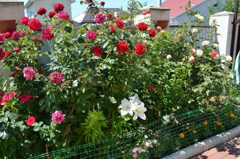 Изображение Изображение гостиницы &quot;Гостевой дом «Странник»&quot; #4 #2