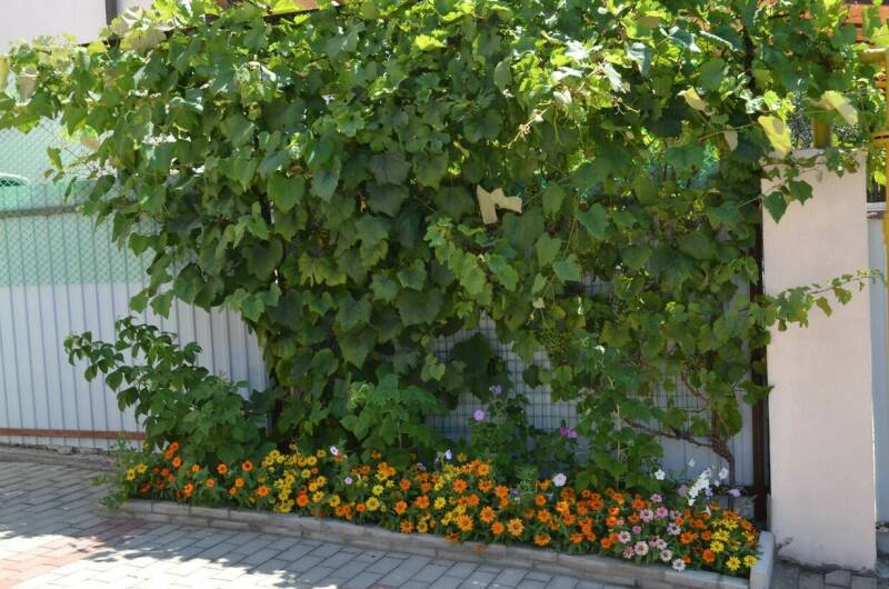 Изображение Изображение гостиницы &quot;Гостевой дом «Странник»&quot; #5 #3