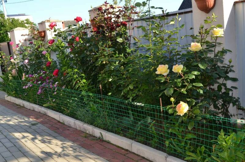 Изображение Изображение гостиницы &quot;Гостевой дом «Странник»&quot; #10 #8