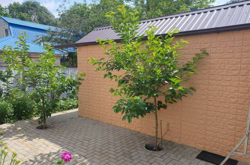 Изображение Изображение гостиницы &quot;Гостевой дом «Отдых у дяди Васи»&quot; #7 #5