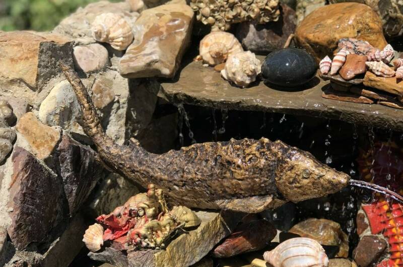 Изображение Изображение гостиницы &quot;Частное домовладение «Русалочка»&quot; #8 #6