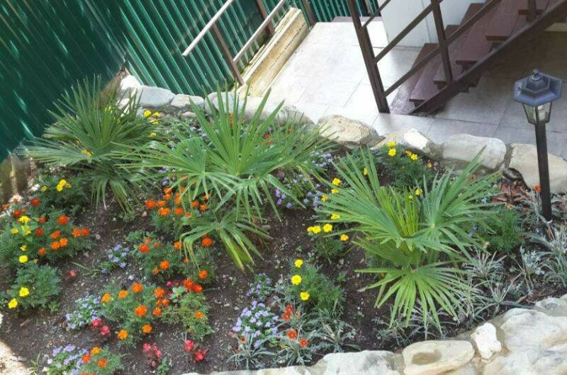 Изображение Изображение гостиницы &quot;Гостевой дом «Курортник»&quot; #10 #8