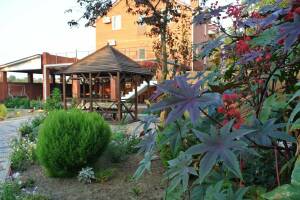 Изображение отеля / гостиницы "Частный сектор «Летящая по волнам»"