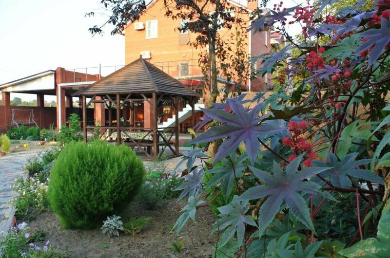 Изображение гостиницы "Частный сектор «Летящая по волнам»" #1