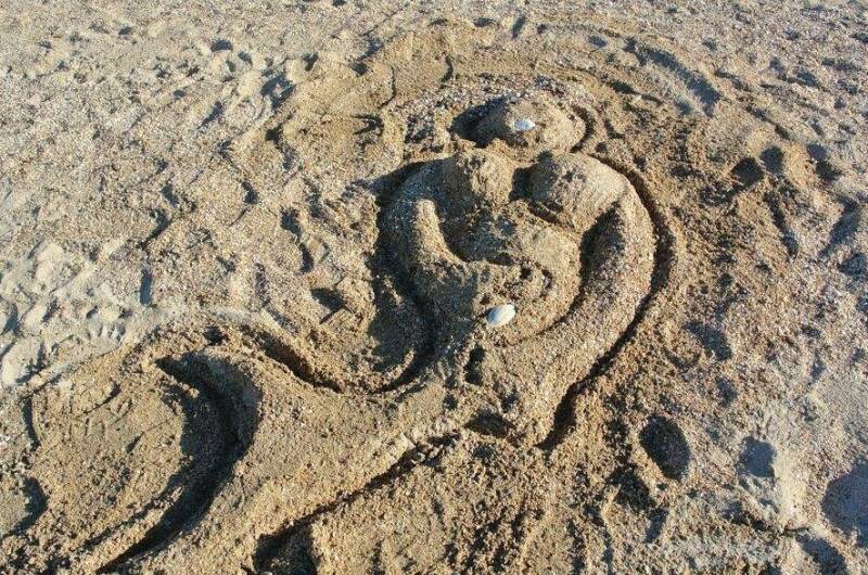 Изображение Изображение гостиницы &quot;Частный сектор «Летящая по волнам»&quot; #8 #6