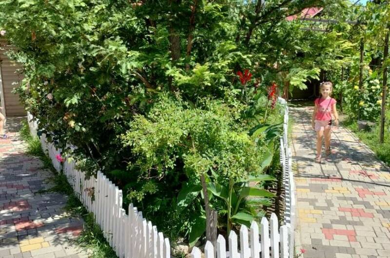 Изображение Изображение гостиницы &quot;Частный сектор «Летящая по волнам»&quot; #9 #7