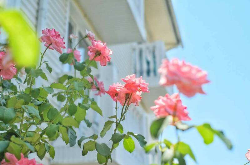 Изображение Изображение гостиницы &quot;Гостевой дом «Век»&quot; #5 #3