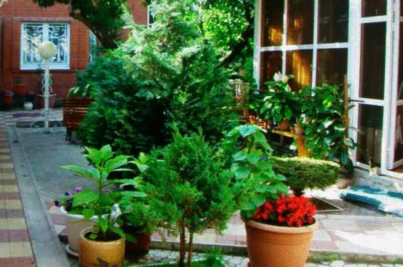 Изображение Изображение гостиницы &quot;Гостевой дом «Талия»&quot; #11 #9