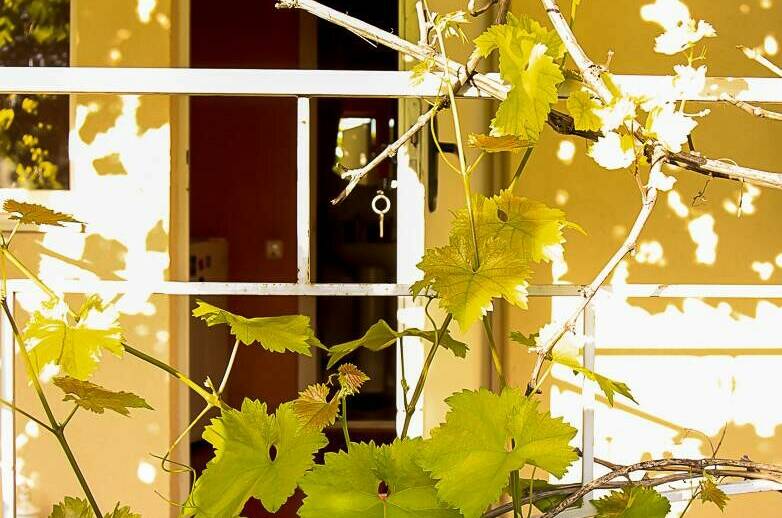 Изображение Изображение гостиницы &quot;Частный сектор «У Нины»&quot; #10 #8