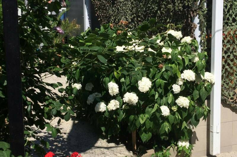 Изображение Изображение квартиры &quot;Коттедж под ключ «Мини Рио»&quot; #8 #6