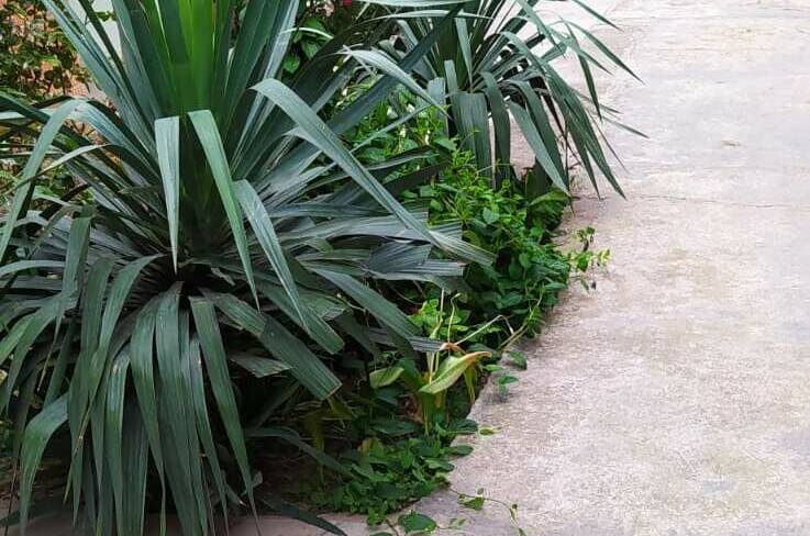 Изображение Изображение гостиницы &quot;Частный сектор «Сирень»&quot; #5 #3