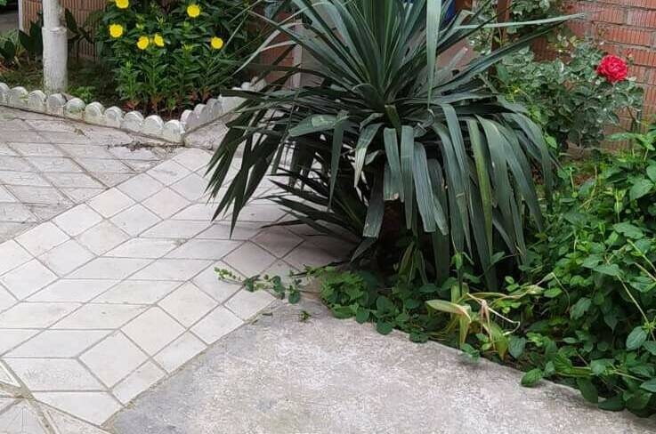 Изображение Изображение гостиницы &quot;Частный сектор «Сирень»&quot; #10 #8