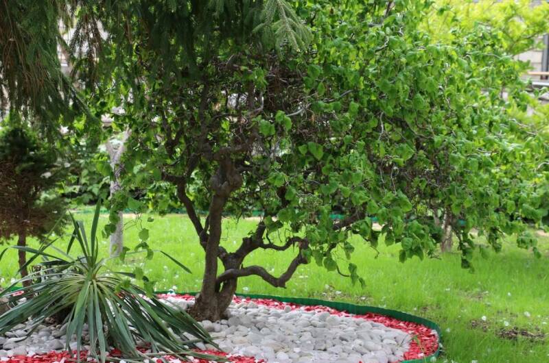 Изображение Изображение гостиницы &quot;Гостевой дом «7up»&quot; #3 #1