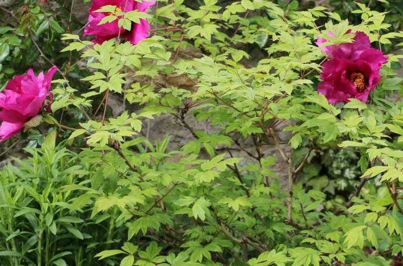 Изображение Изображение гостиницы &quot;Гостевой дом «7up»&quot; #4 #2