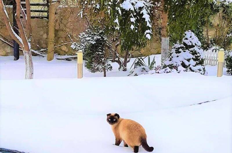 Изображение Изображение гостиницы &quot;Гостевой дом «7up»&quot; #5 #3