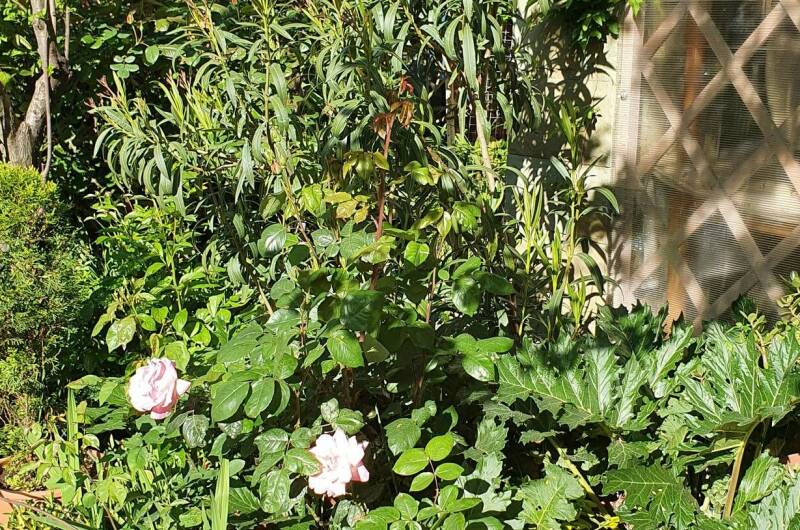 Изображение Изображение гостиницы &quot;Гостевой дом «Алиса»&quot; #4 #2