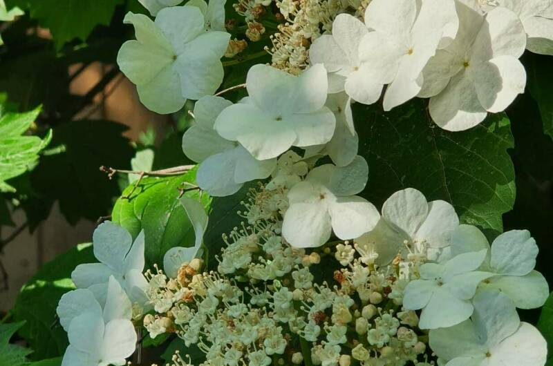 Изображение Изображение гостиницы &quot;Гостевой дом «Алиса»&quot; #6 #4