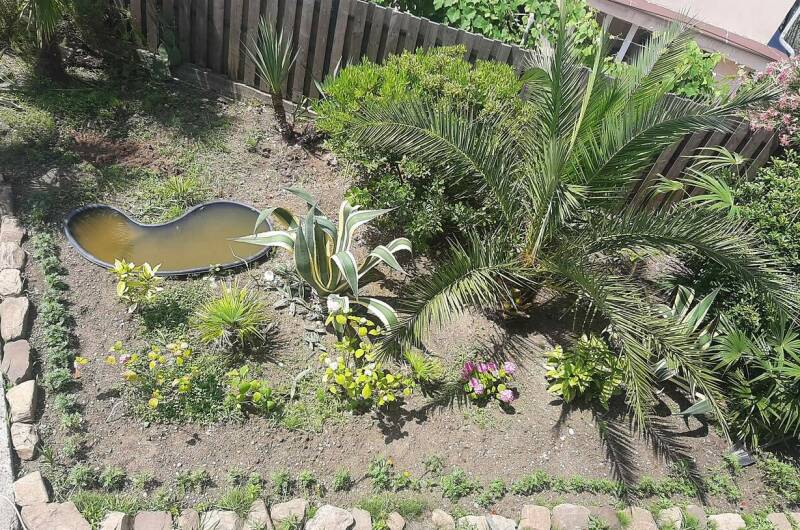 Изображение Изображение гостиницы &quot;Гостевой дом «Жемчужина»&quot; #8 #6