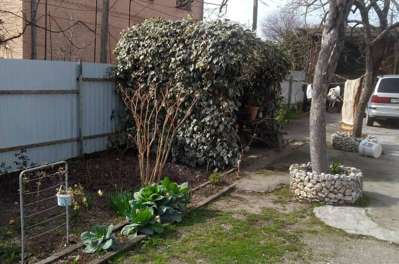 Изображение Изображение гостиницы &quot;Частный сектор «Ольгинка»&quot; #4 #2