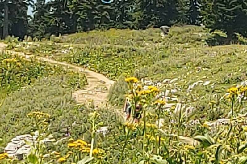 Изображение Изображение гостиницы &quot;Частный сектор «Ольгинка»&quot; #9 #7