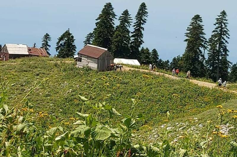 Изображение Изображение гостиницы &quot;Частный сектор «Ольгинка»&quot; #11 #9