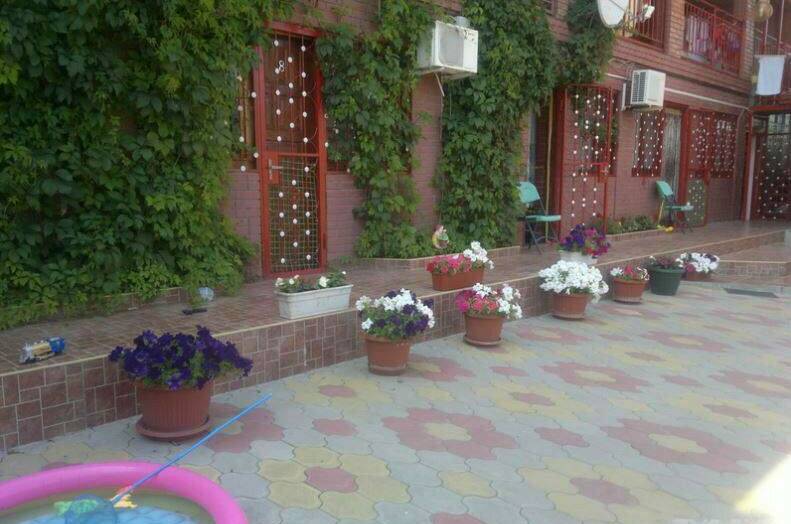 Изображение Изображение гостиницы &quot;Частный сектор «Айхал»&quot; #5 #3