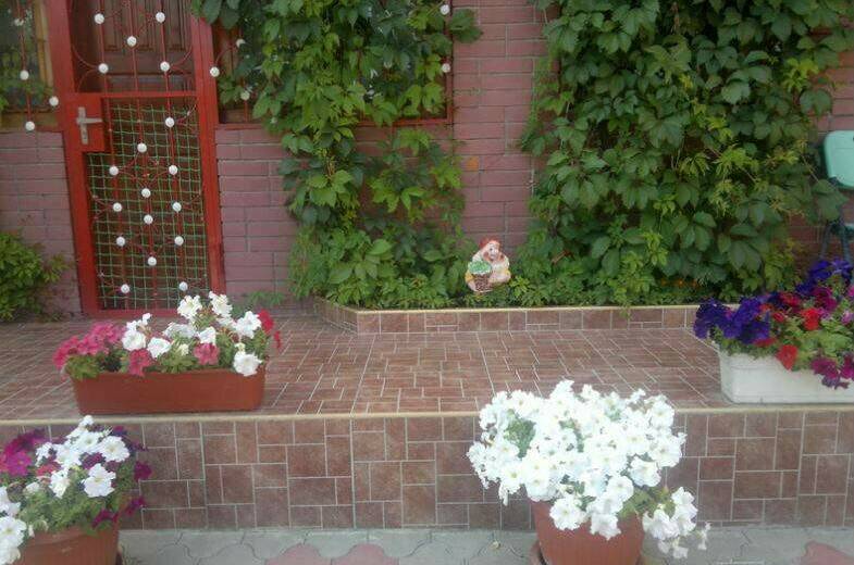 Изображение Изображение гостиницы &quot;Частный сектор «Айхал»&quot; #9 #7